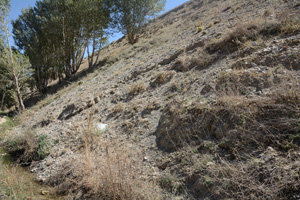 Bamiyan Museum