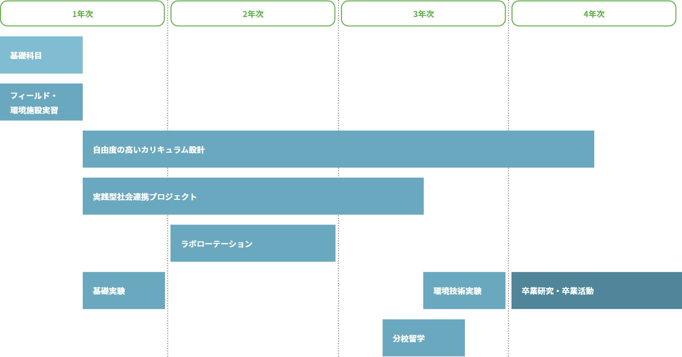 4年間のカリキュラム