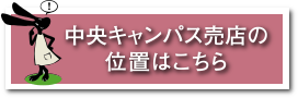 LpXẌʒu͂