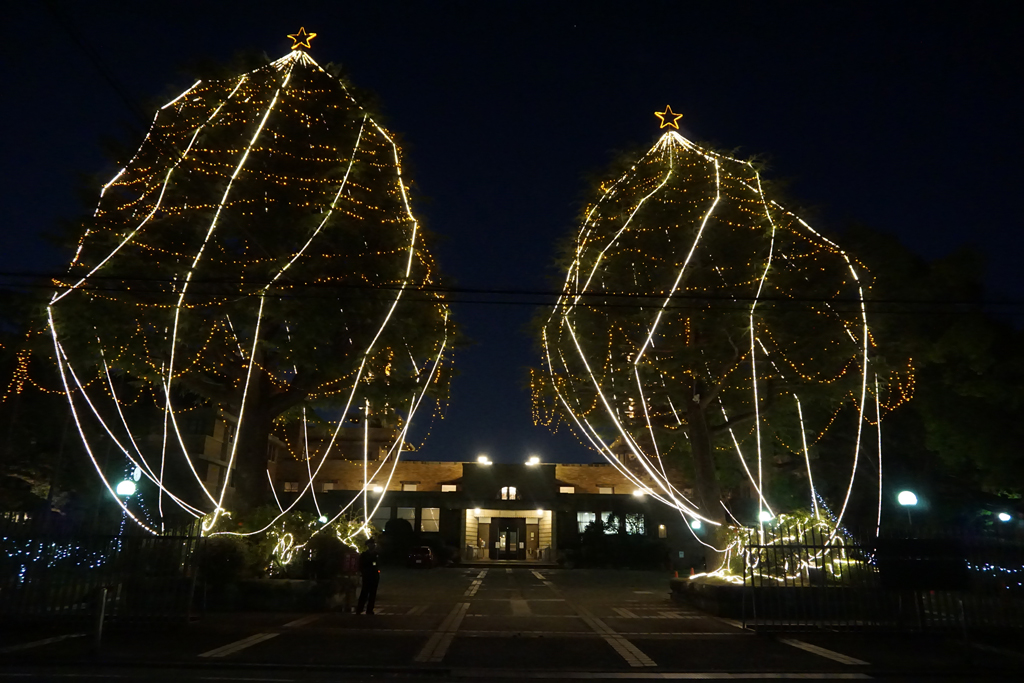 ジャンボクリスマスツリーの試験点灯