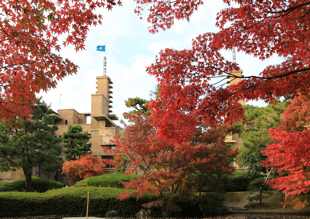 甲子園会館南側庭園の紅葉