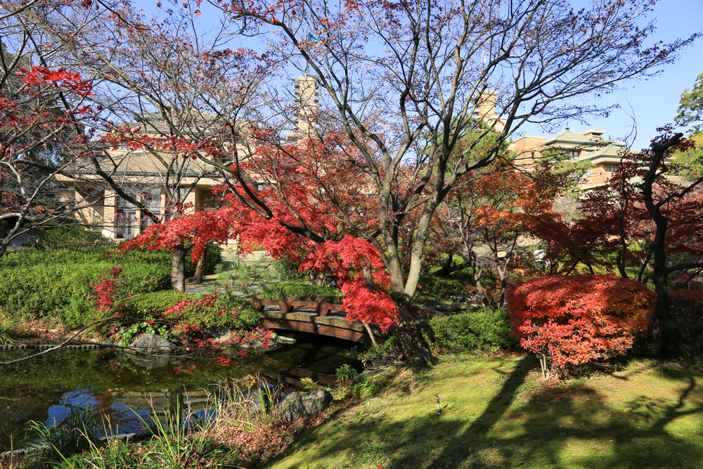 南庭園から見た甲子園会館の全景　モミジやドウダンツツジが美しく紅葉しています