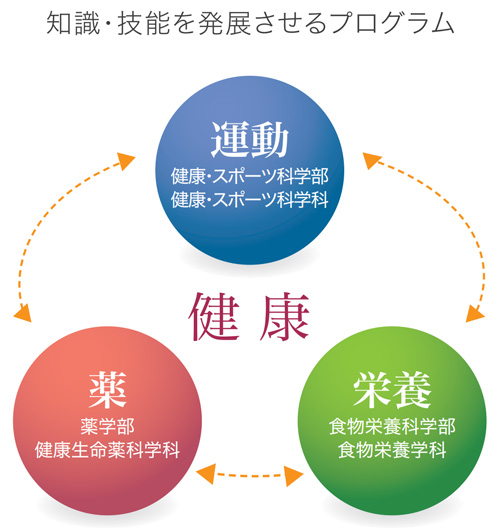 知識・技能を発展させるプログラム