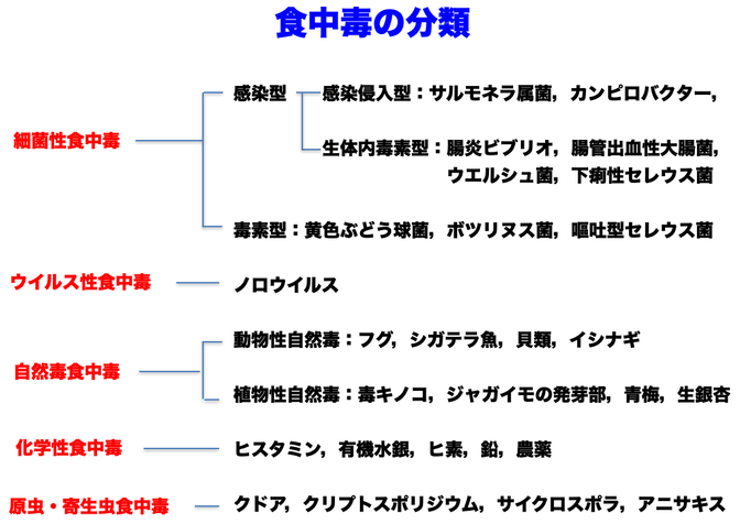 スクリーンショット 2021-08-03 16.43.12